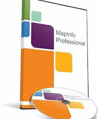 MapInfo® Pro